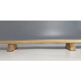 SHENA PUSH UP BOARD